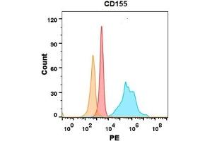 CD155 protein is highly expressed on the surface of Expi293 cell membrane. (Poliovirus Receptor antibody  (AA 21-343))