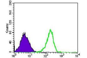 Flow Cytometry (FACS) image for anti-Mitochondrial Ribosomal Protein L42 (MRPL42) (AA 142-203) antibody (ABIN1724803)