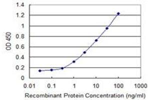 Detection limit for recombinant GST tagged SUPT16H is 0. (SUPT16H antibody  (AA 608-715))