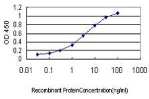 Detection limit for recombinant GST tagged SCGN is approximately 0. (SCGN antibody  (AA 1-276))