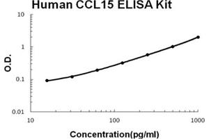 CCL15 ELISA试剂盒