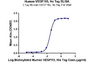 ELISA image for VEGF 165 protein (ABIN7275824)