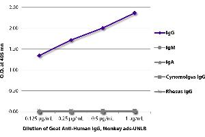 ELISA plate was coated with purified human IgG, IgM, and IgA, cynomolgus IgG, and rhesus IgG. (Goat anti-Human IgG Antibody - Preadsorbed)