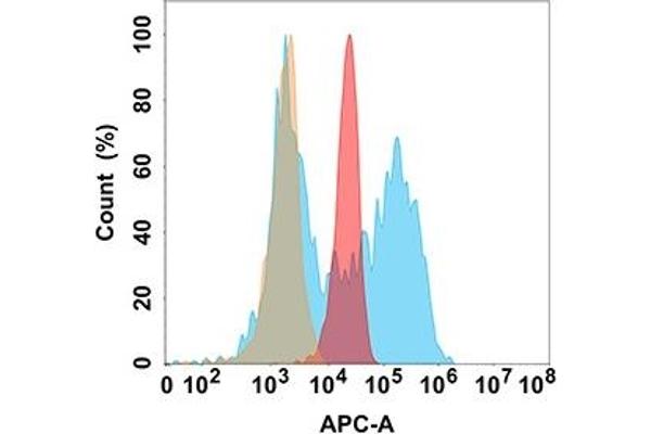 B7-H6 antibody  (AA 25-365)