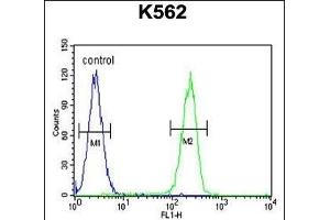 RPL27A Antibody (C-term) (ABIN654891 and ABIN2844541) flow cytometric analysis of K562 cells (right histogram) compared to a negative control cell (left histogram). (RPL27A antibody  (C-Term))