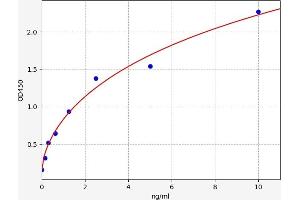 CTHRC1 ELISA Kit