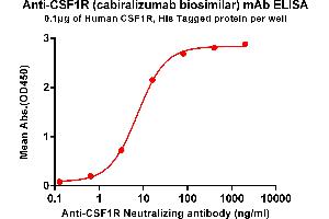 ELISA plate pre-coated by 1 μg/mL (100 μL/well) Human R , His tagged protein ABIN6961125, ABIN7042279 and ABIN7042280 can bind Anti-R Neutralizing antibody (ABIN7093072 and ABIN7272602) in a linear range of 0. (Recombinant CSF1R (Cabiralizumab Biosimilar) antibody)