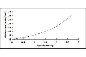 ELISA image for Collagen, Type III (COL3) ELISA Kit (ABIN414003) (COL3 ELISA Kit)