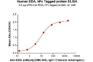 ELISA plate pre-coated by 2 μg/mL (100 μL/well) Human EDA Protein, hFc Tag (ABIN7455488, ABIN7490960 and ABIN7490962) can bind Anti-EDA antibody, IgG1 Chimeric mAb in a linear range of 3. (Ectodysplasin A Protein (EDA) (Fc Tag))