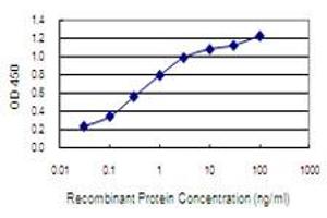 Detection limit for recombinant GST tagged NARG1 is 0. (NAA15 antibody  (AA 764-862))