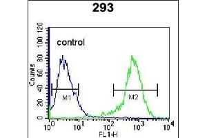 CDK8 Antibody (Center) (ABIN655911 and ABIN2845310) flow cytometric analysis of 293 cells (right histogram) compared to a negative control cell (left histogram). (CDK8 antibody  (AA 249-277))