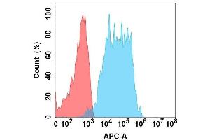 Flow cytometry analysis with Anti- on Expi293 cells transfected with human (Blue histogram) or Expi293 transfected with irrelevant protein (Red histogram). (GPA33 antibody)