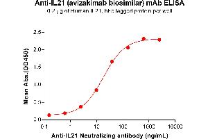 ELISA plate pre-coated by 2 μg/mL (100 μL/well) Human IL21 Protein, hFc Tag (ABIN6964397, ABIN7042851 and ABIN7042852) can bind Anti-IL21 Neutralizing antibody (ABIN7478002 and ABIN7490948) in a linear range of 2. (Recombinant IL21 (Avizakimab Biosimilar) antibody)