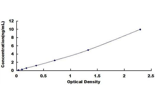 ADAMTS5 ELISA Kit