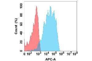 Flow cytometry analysis with Anti-HBEGF on Expi293 cells transfected with human HBEGF (Blue histogram) or Expi293 transfected with irrelevant protein (Red histogram). (HBEGF antibody)