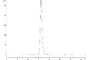 Size-exclusion chromatography-High Pressure Liquid Chromatography (SEC-HPLC) image for V-Set Domain Containing T Cell Activation Inhibitor 1 (VTCN1) (AA 33-194) protein (Fc Tag) (ABIN7273962)