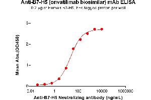 ELISA plate pre-coated by 2 μg/mL (100 μL/well) Human B7-H5 Protein, hFc Tag (ABIN6964353, ABIN7042799 and ABIN7042800) can bind Anti-B7-H5 Neutralizing antibody (ABIN7478007 and ABIN7490950) in a linear range of 2. (Recombinant B7-H5 (Onvatilimab Biosimilar) antibody)
