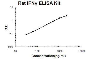 Rat IFN gamma Accusignal ELISA Kit Rat IFN gamma AccuSignal ELISA Kit standard curve. (Interferon gamma ELISA Kit)