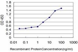 Detection limit for recombinant GST tagged KLF1 is approximately 0. (KLF1 antibody  (AA 183-237))