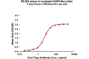 Elisa plates were pre-coated with Flag Tag -Nanodisc (0. (LGR5 Protein)