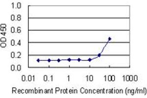 Detection limit for recombinant GST tagged PKM2 is 10 ng/ml as a capture antibody. (PKM2 antibody  (AA 436-531))