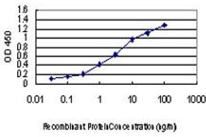 ELISA image for anti-Mitogen-Activated Protein Kinase Kinase Kinase 4 (MAP3K4) (AA 1201-1300) antibody (ABIN598812) (MAP3K4 antibody  (AA 1201-1300))