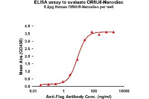 Elisa plates were pre-coated with Flag Tag OR8U8-Nanodisc (0. (Olfactory Receptor, Family 8, Subfamily U, Member 8 (OR8U8) Protein)