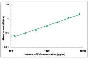 Representative Standard Curve (HGF ELISA Kit)