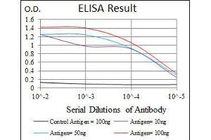 ELISA image for anti-Forkhead Box P1 (FOXP1) (AA 481-677) antibody (ABIN1098120)