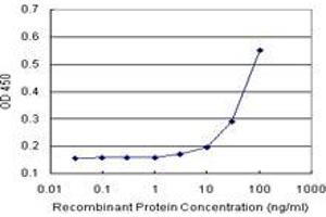 Sandwich ELISA detection sensitivity ranging from 10 ng/mL to 100 ng/mL. (C17orf75 (Human) Matched Antibody Pair)