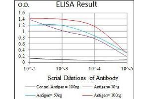 ELISA image for anti-Nuclear Receptor Subfamily 6, Group A, Member 1 (NR6A1) (AA 65-118) antibody (ABIN969579)