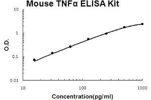 Mouse TNF alpha Accusignal ELISA Kit Mouse TNF alpha AccuSignal ELISA Kit standard curve. (TNF alpha ELISA Kit)