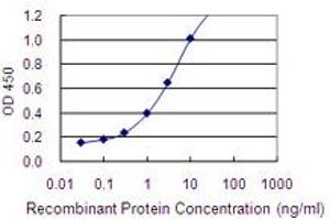 Detection limit for recombinant GST tagged DDC is 0. (DDC antibody  (AA 1-480))