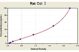 Diagramm of the ELISA kit to detect Rat Col ? (Collagen Type I ELISA Kit)