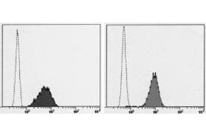 Flow Cytometry (FACS) image for anti-Transferrin Receptor (p90, CD71) (TFRC) antibody (FITC) (ABIN1449272) (Transferrin Receptor antibody  (FITC))