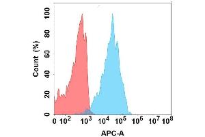 Flow cytometry analysis with Anti-S on Expi293 cells transfected with human S (Blue histogram) or Expi293 transfected with irrelevant protein (Red histogram). (SSTR2 antibody)