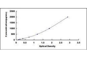 ELISA image for Procollagen II C-Terminal Propeptide (PIICP) ELISA Kit (ABIN431542) (PIICP ELISA Kit)