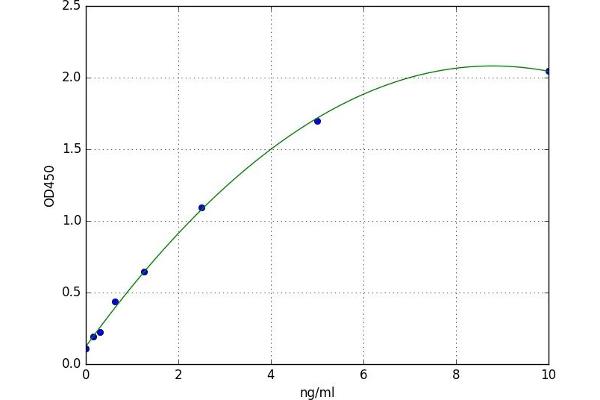 PAFAH1B1 ELISA Kit