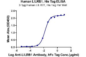 ELISA image for Leukocyte Immunoglobulin-Like Receptor, Subfamily B (With TM and ITIM Domains), Member 1 (LILRB1) (AA 24-458) protein (His-Avi Tag) (ABIN7275185)