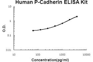 Human P-Cadherin Accusignal ELISA Kit Human P-Cadherin AccuSignal ELISA Kit standard curve. (P-Cadherin ELISA Kit)