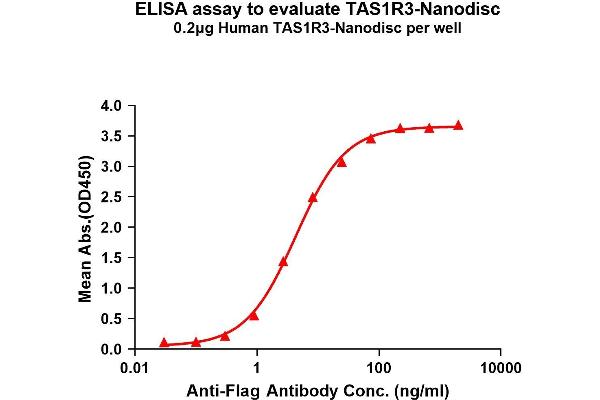 TAS1R3 Protein