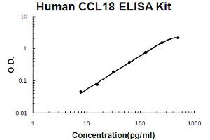 Human CCL18/PARC Accusignal ELISA Kit Human CCL18/PARC AccuSignal ELISA Kit standard curve. (CCL18 ELISA Kit)