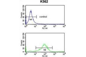 Flow Cytometry (FACS) image for anti-RAB7A, Member RAS Oncogene Family (RAB7A) antibody (ABIN3003858) (RAB7A antibody)