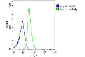 Overlay histogram showing U-2OS cells stained with Antibody (green line). (ITIH4 antibody  (AA 784-816))