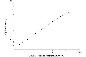 Transferrin Receptor ELISA Kit