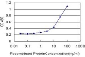 Detection limit for recombinant GST tagged MEOX1 is approximately 0. (MEOX1 antibody  (AA 165-252))