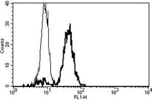 Flow Cytometry (FACS) image for anti-CD86 (CD86) antibody (ABIN1106594) (CD86 antibody)