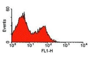 Flow Cytometry (FACS) image for anti-ADP-Ribosyltransferase 2b (Art2b) antibody (ABIN2477498) (ART2.2/Art2b antibody)