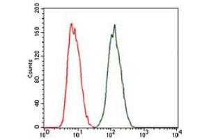 Flow cytometric analysis of MCF-7 cells using PRKACG mouse mAb (green) and negative control (red). (PRKACG antibody)