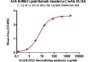 ELISA plate pre-coated by 1 μg/mL (100 μL/well) Human , His tagged protein ABIN6961140, ABIN7042309 and ABIN7042310 can bind Anti- Neutralizing antibody (ABIN7093074 and ABIN7272604) in a linear range of 0. (Recombinant HER3 (Patritumab Biosimilar) antibody)